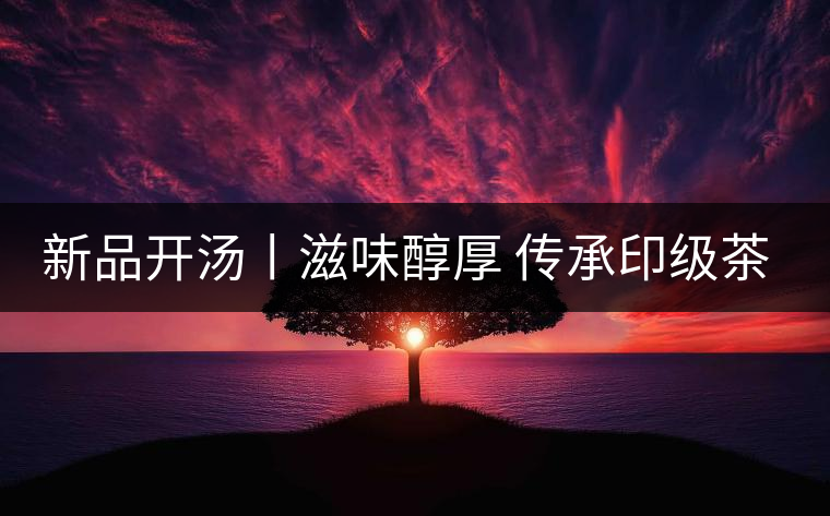 新品開(kāi)湯丨滋味醇厚 傳承印級(jí)茶風(fēng)韻