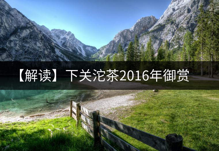 【解讀】下關(guān)沱茶2016年御賞古樹貢餅（生茶）