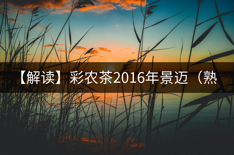 【解讀】彩農(nóng)茶2016年景邁（熟）