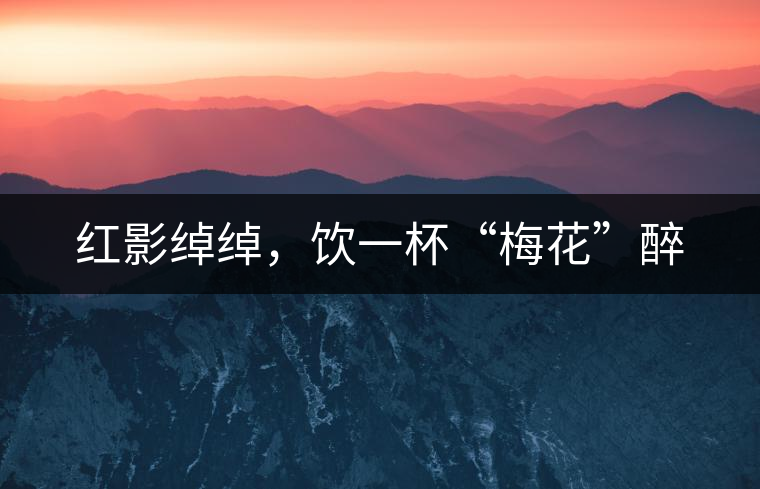 紅影綽綽，飲一杯“梅花”醉