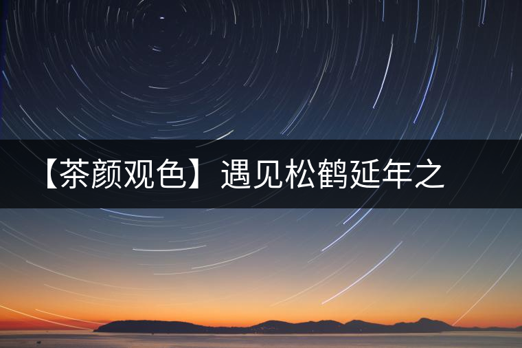【茶顏觀色】遇見松鶴延年之美