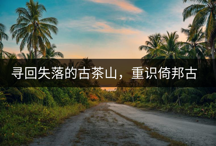 尋回失落的古茶山，重識倚邦古韻