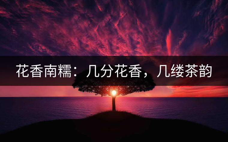 花香南糯：幾分花香，幾縷茶韻