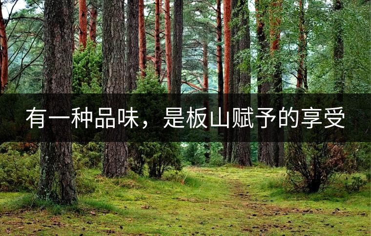 有一種品味，是板山賦予的享受