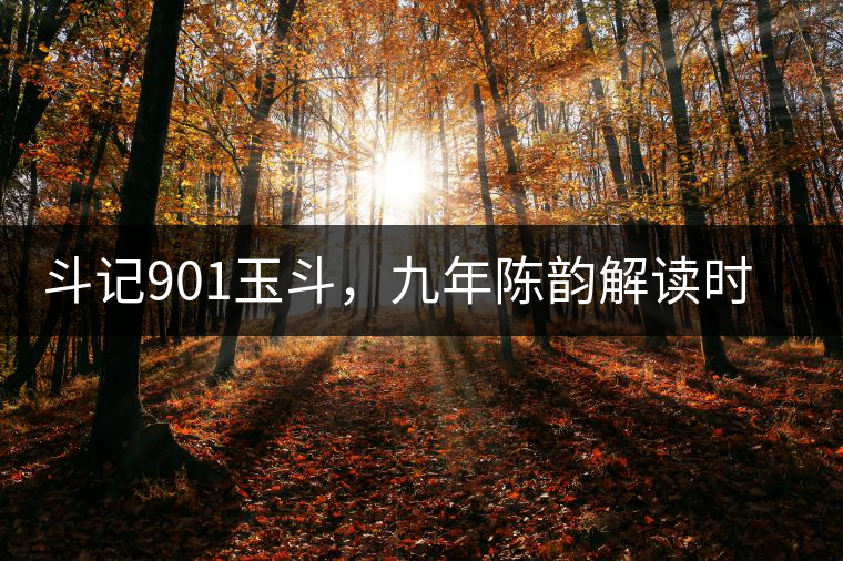 斗記901玉斗，九年陳韻解讀時(shí)間之味