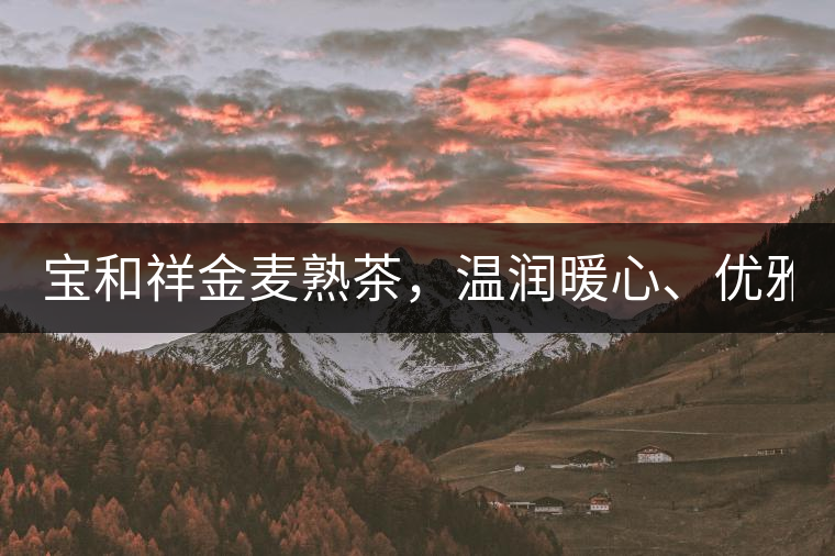 寶和祥金麥熟茶，溫潤暖心、優(yōu)雅迷人。