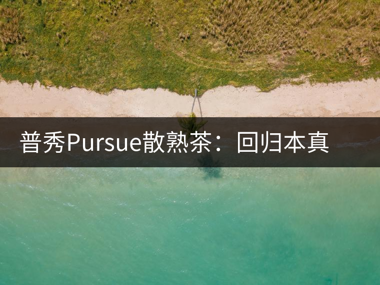 普秀Pursue散熟茶：回歸本真，一款高性價比口糧散熟茶