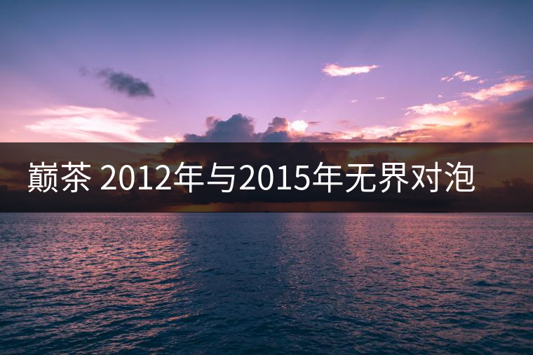 巔茶 2012年與2015年無(wú)界對(duì)泡啟示錄！
