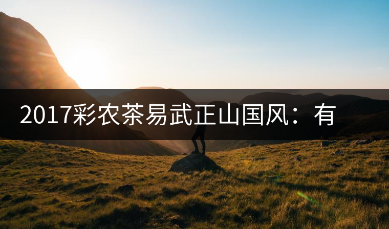 2017彩農(nóng)茶易武正山國風(fēng)：有茶韻，亦有國風(fēng)
