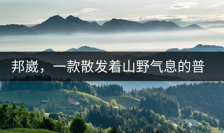 邦崴，一款散發(fā)著山野氣息的普洱