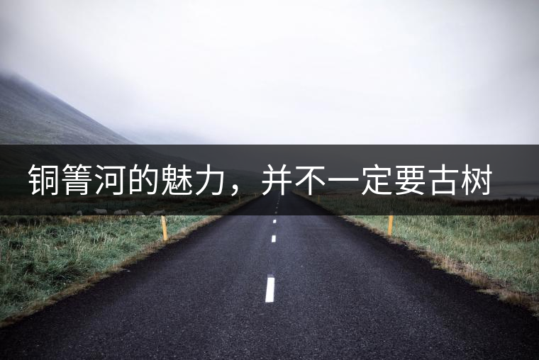 銅箐河的魅力，并不一定要古樹來體現(xiàn)