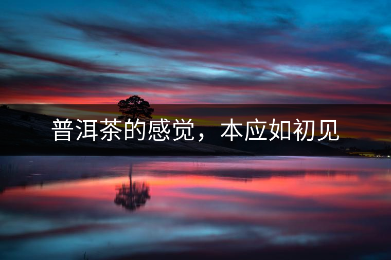 普洱茶的感覺，本應(yīng)如初見