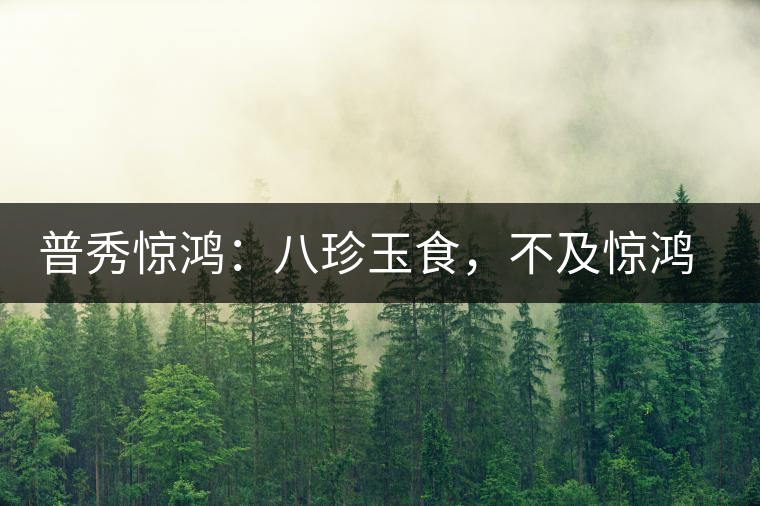 普秀驚鴻：八珍玉食，不及驚鴻一湯