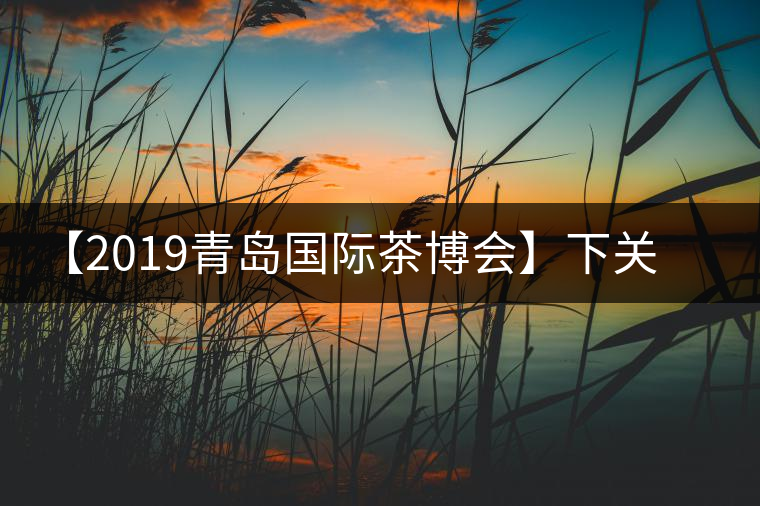 【2019青島國際茶博會】下關(guān)沱茶攜新品C位亮相！