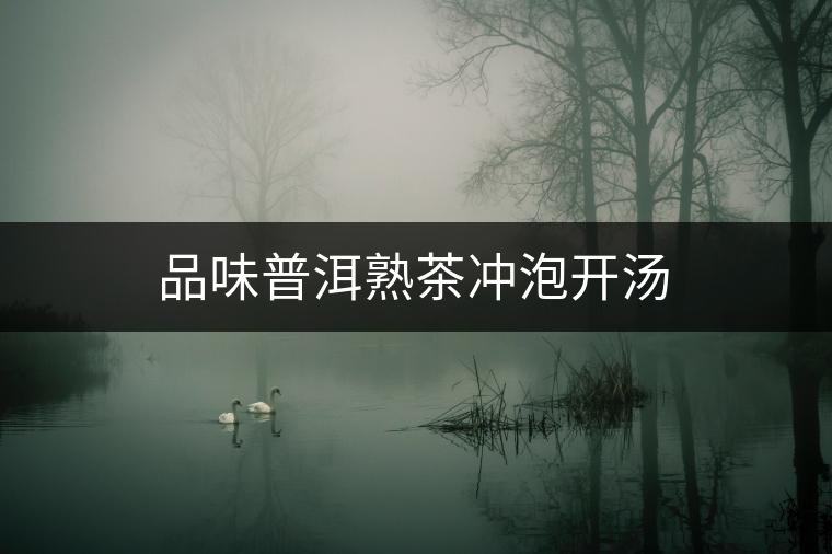 品味普洱熟茶沖泡開湯 品味普洱熟茶沖泡開湯