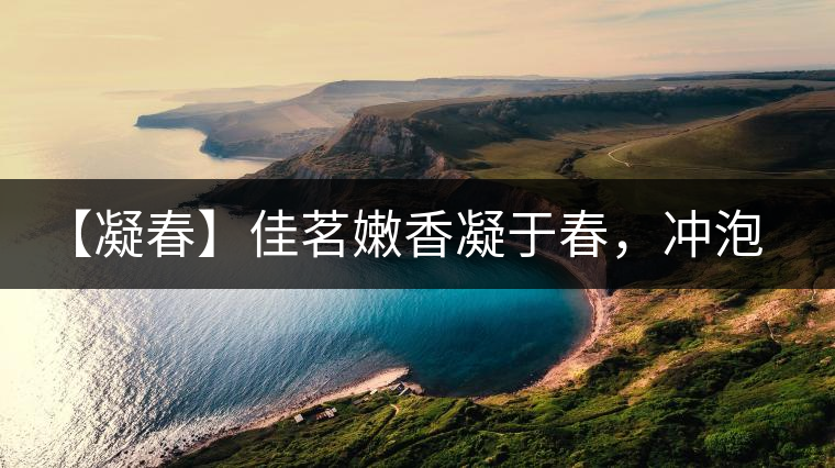 【凝春】佳茗嫩香凝于春，沖泡要訣盡在此