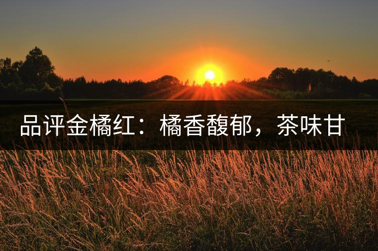 品評金橘紅：橘香馥郁，茶味甘醇，匠心拼配，臻于至善