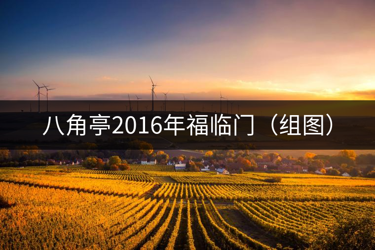 八角亭2016年福臨門(mén)（組圖）
