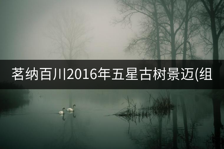 茗納百川2016年五星古樹(shù)景邁(組圖)