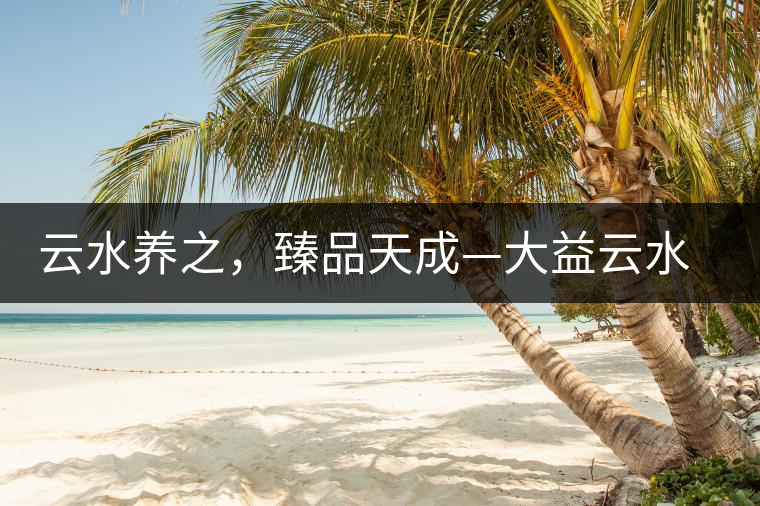 云水養(yǎng)之，臻品天成—大益云水臻開湯