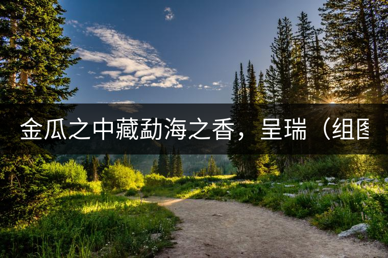 金瓜之中藏勐海之香，呈瑞（組圖）