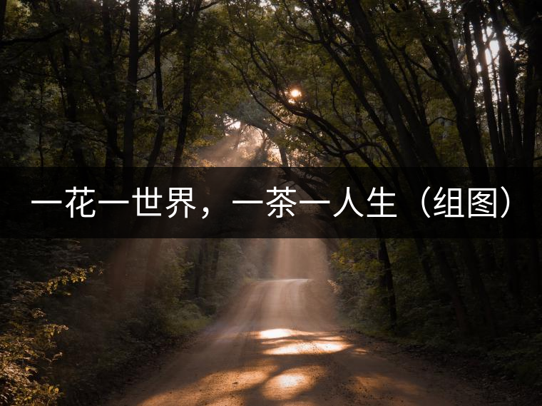 一花一世界，一茶一人生（組圖）