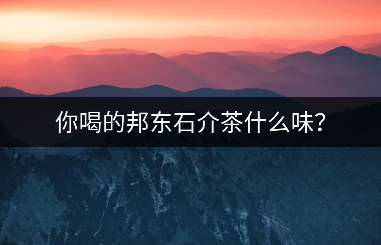 你喝的邦東石介茶什么味？