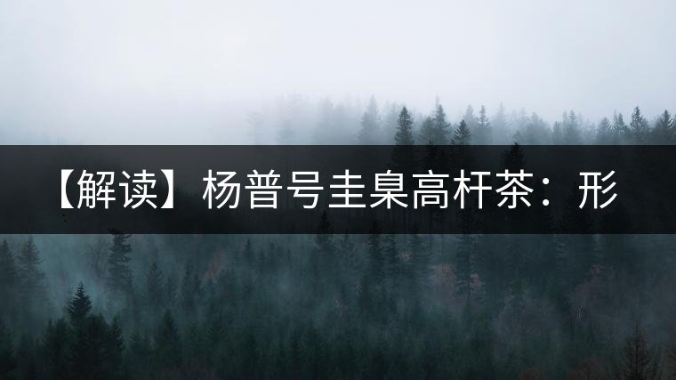 【解讀】楊普號圭臬高桿茶：形高、氣足、韻遠的一款茶