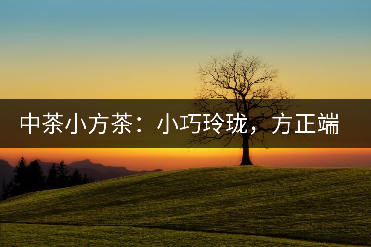 中茶小方茶：小巧玲瓏，方正端莊