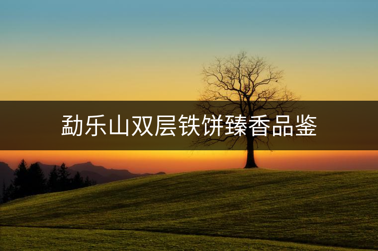 勐樂山雙層鐵餅臻香品鑒 勐樂山雙層鐵餅臻香品鑒
