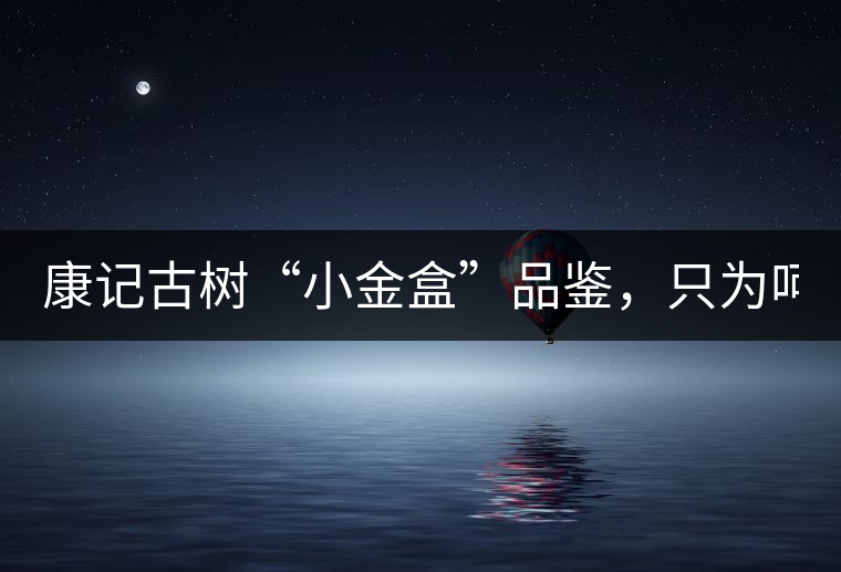 康記古樹“小金盒”品鑒，只為呵護您的味蕾！