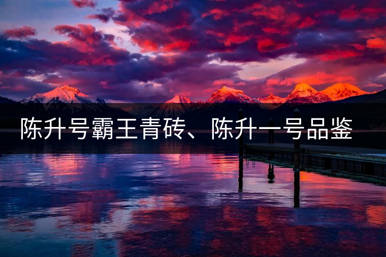 陳升號(hào)霸王青磚、陳升一號(hào)品鑒【圖】
