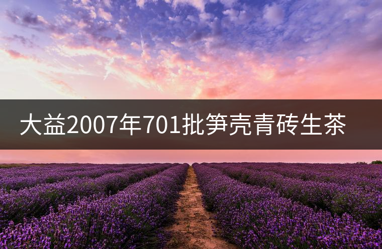大益2007年701批筍殼青磚生茶開湯 大益2007年701批筍殼青磚生茶開湯