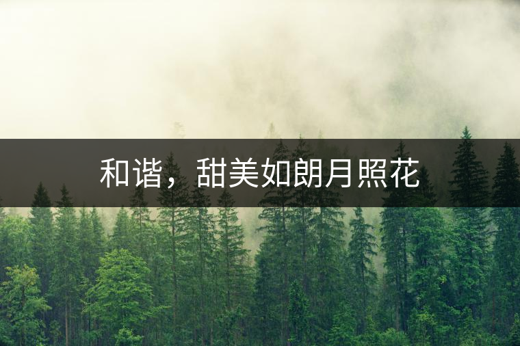 和諧，甜美如朗月照花