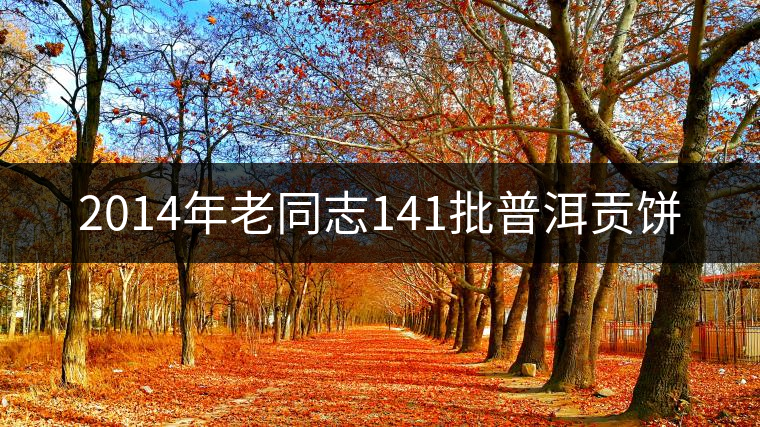 2014年老同志141批普洱貢餅 2014年老同志141批普洱貢餅