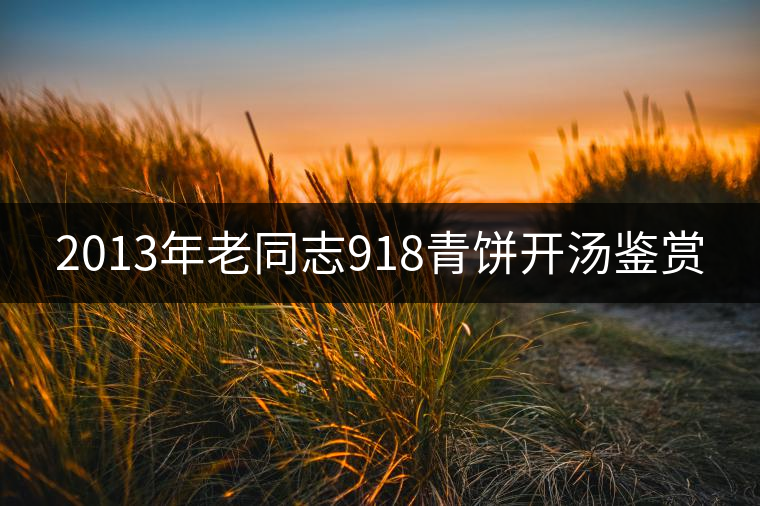 2013年老同志918青餅開(kāi)湯鑒賞 2013年老同志918青餅開(kāi)湯鑒賞