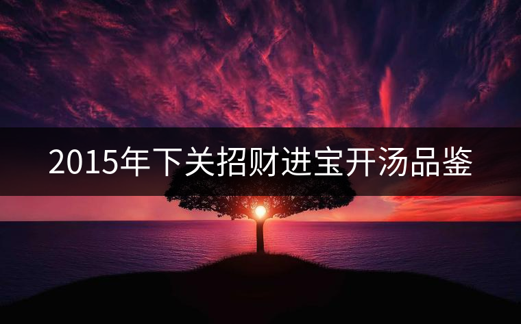 2015年下關(guān)招財進寶開湯品鑒