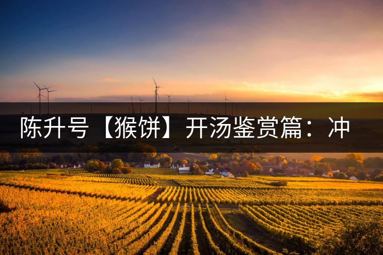 陳升號(hào)【猴餅】開湯鑒賞篇:沖泡【猴餅】有哪些需要注意的 陳升號(hào)【猴餅】開湯鑒賞篇:沖泡【猴餅】有哪些需要注意的