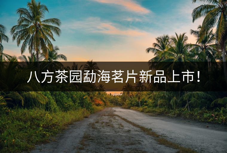 八方茶園勐海茗片新品上市！