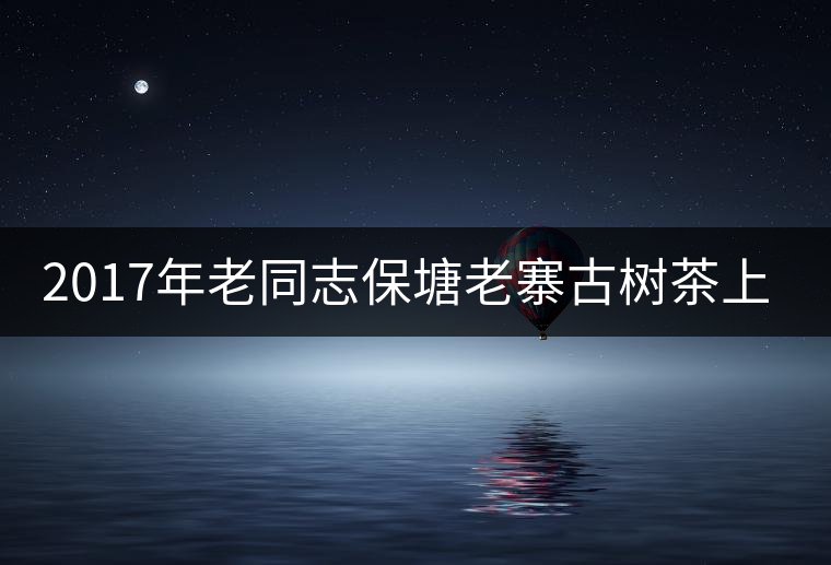 2017年老同志保塘老寨古樹茶上市