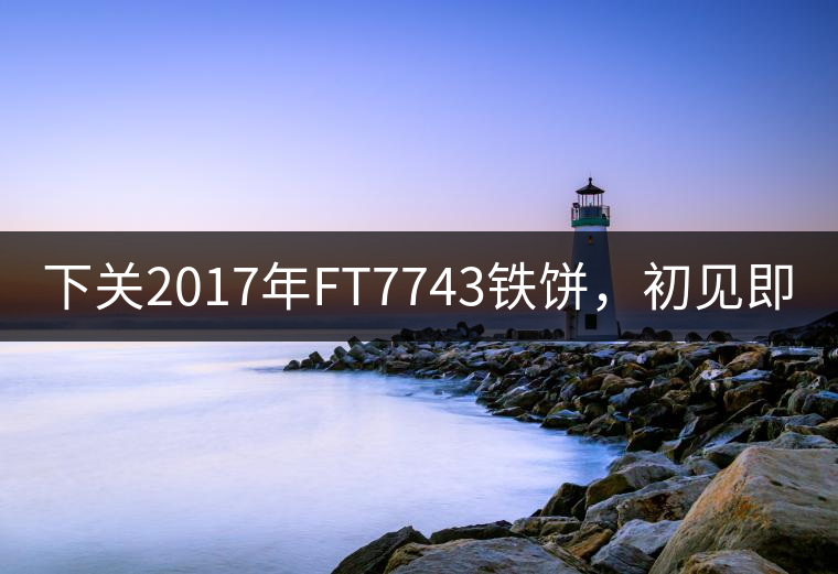 下關(guān)2017年FT7743鐵餅，初見即傾城!
