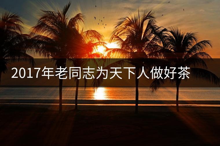 2017年老同志為天下人做好茶餅茶新品上市 2017年老同志為天下人做好茶餅茶新品上市