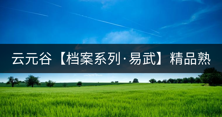 云元谷【檔案系列·易武】精品熟茶，精裝上市！