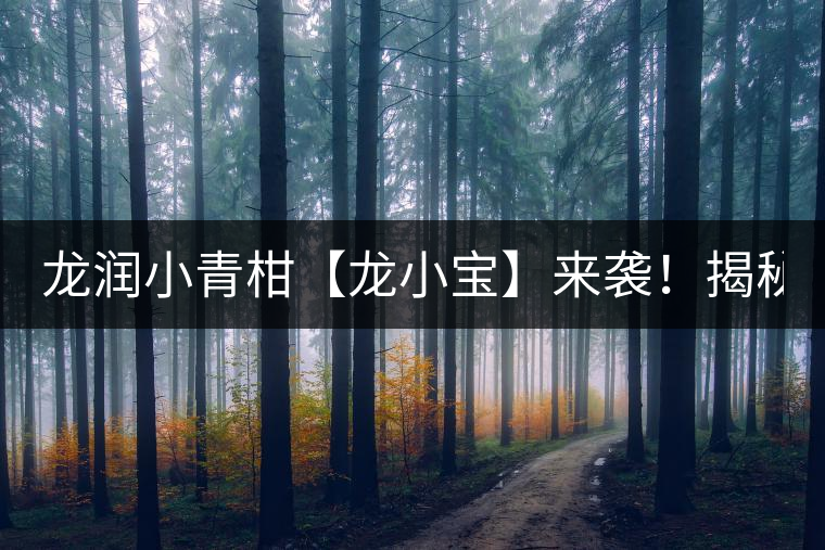 龍潤小青柑【龍小寶】來襲！揭秘它的前半生！