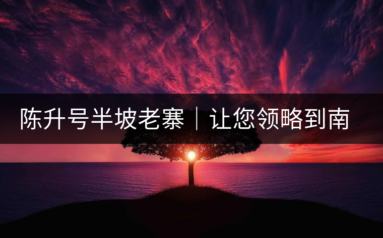 陳升號半坡老寨｜讓您領(lǐng)略到南糯山大樹茶口感的地道！