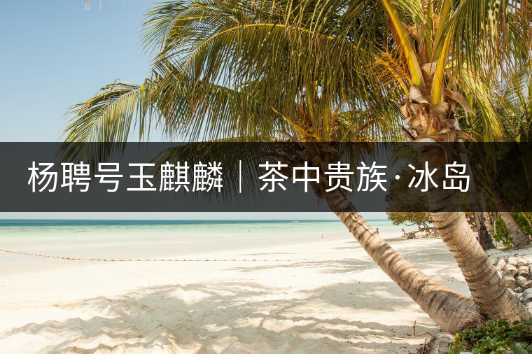 楊聘號(hào)玉麒麟｜茶中貴族·冰島古樹