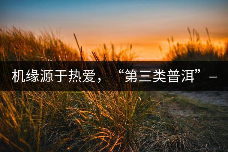 機(jī)緣源于熱愛(ài)，“第三類(lèi)普洱”——“散壓茶TM”的誕生。