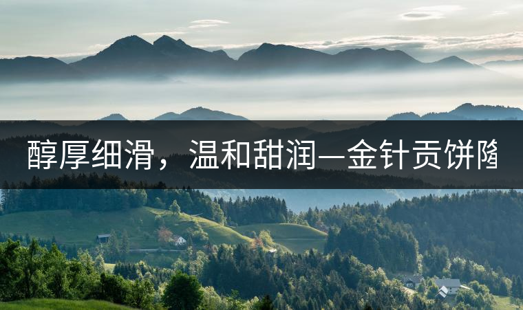 醇厚細(xì)滑，溫和甜潤—金針貢餅隆重上市！