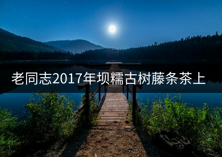 老同志2017年壩糯古樹(shù)藤條茶上市