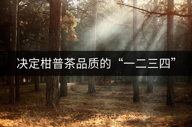 決定柑普茶品質(zhì)的“一二三四” 決定柑普茶品質(zhì)的“一二三四”